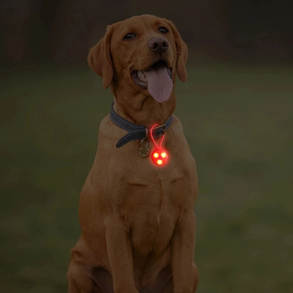 أضواء حقيبة الظهر الخارجية، مص - مراجعة Outdoor Camping Lights String وسعره
